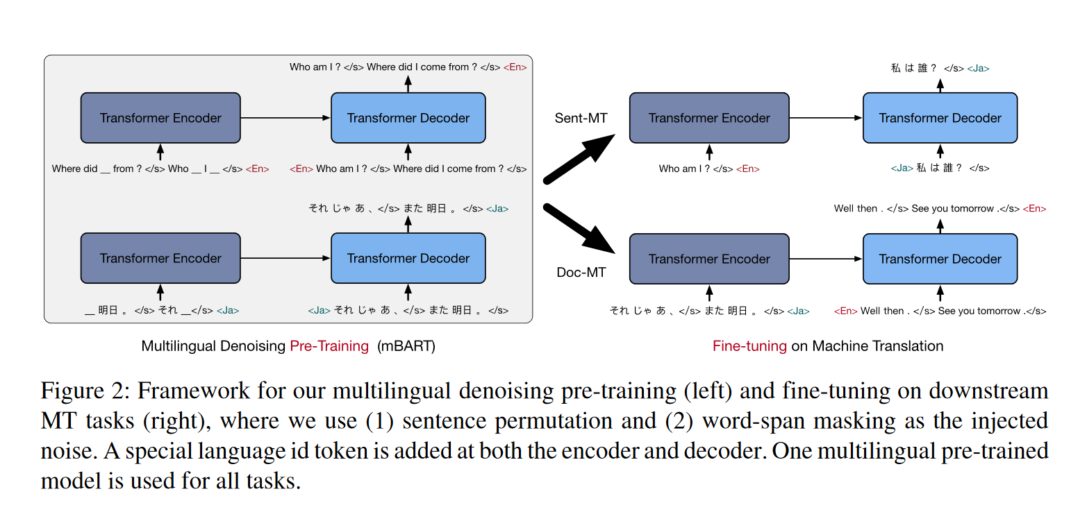 Framework for multilingual denoising pre-training (left) and fine-tuning